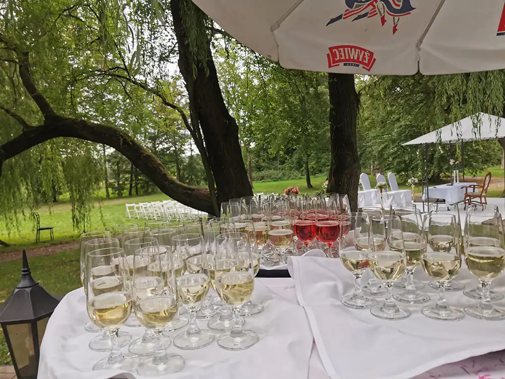 Pałac Godętowo - toast weselny